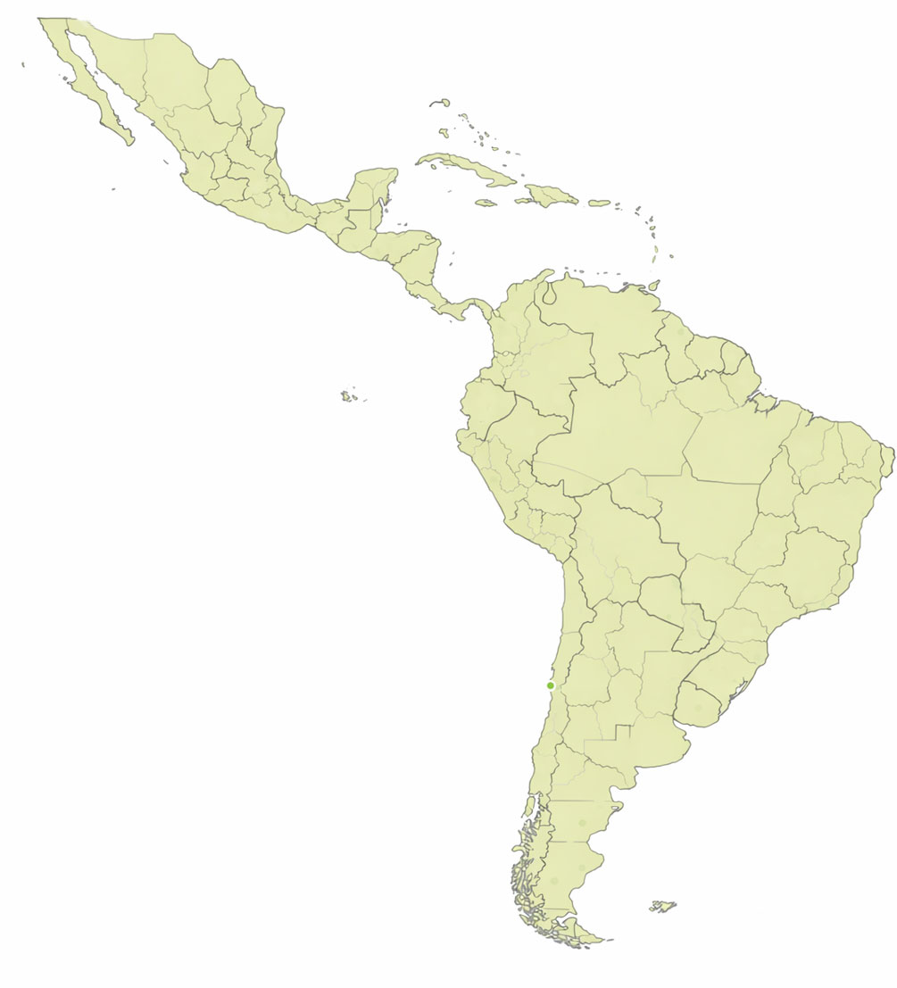 Red comercial Latam